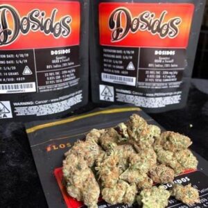 Jungleboys Doses