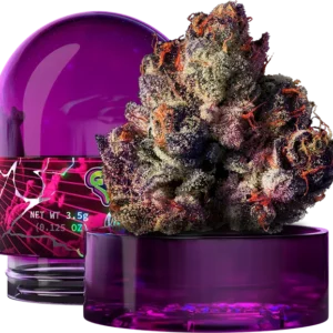 Rainbow Gelato Wizard Trees