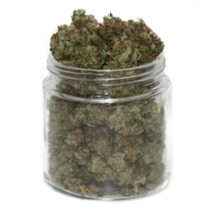 Gorrila glue 4