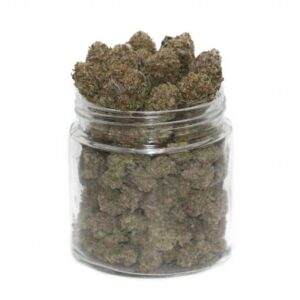 Purple Urkle